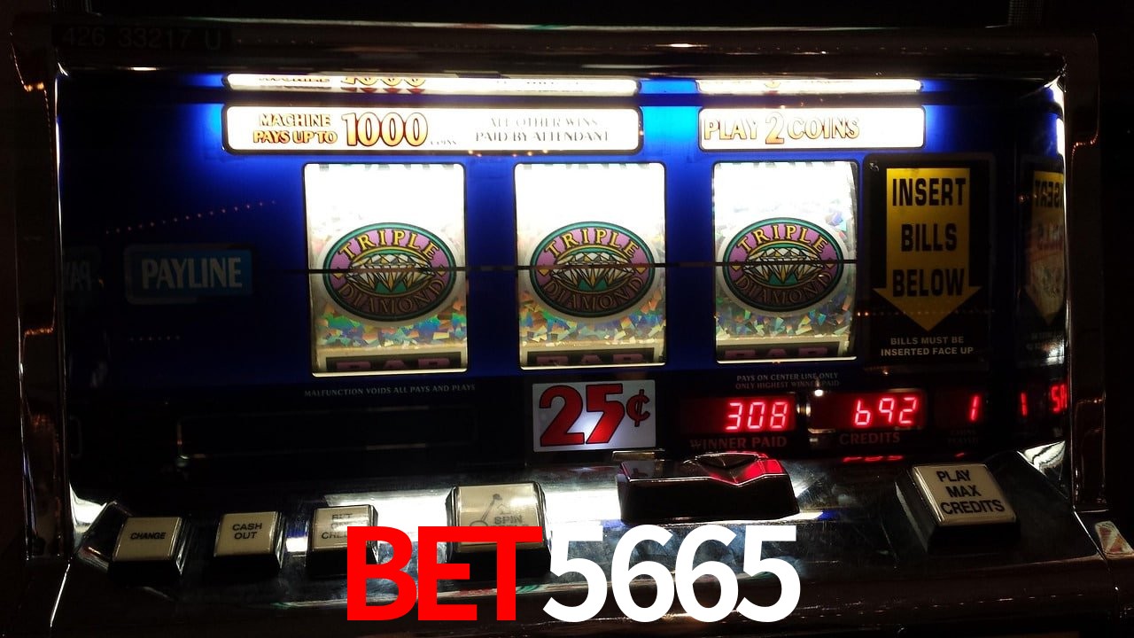 Experiência VIP bet5665