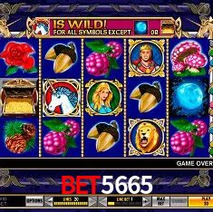 bet5665 Salvador - Bonus Stats